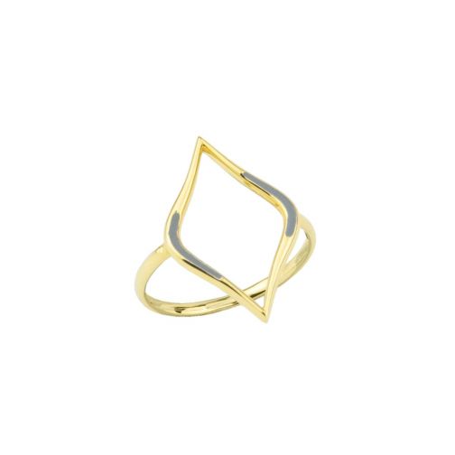 Aesthesis Ring – gold, enamel