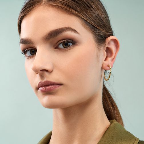 Plethora Earrings - silver, zircon